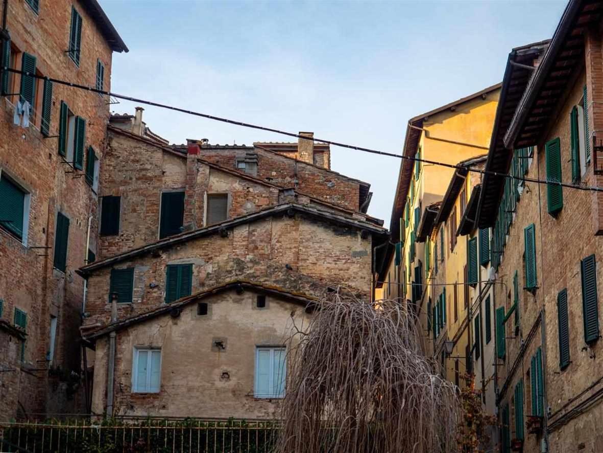 Advocata Nostra Incontro Di Storia E Centralita Siena Kültér fotó